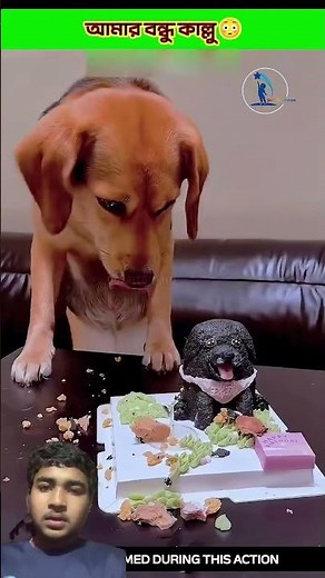 My friend Kallu😳.#shortsvideo