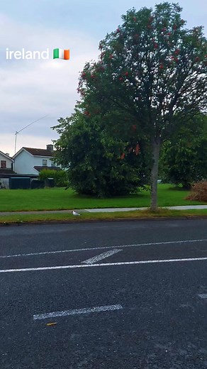 IRELAND 🇮🇪 🇮🇪 . . . . #irelandviews #irelandtravel #irelandsummer #wicklow #dublincity #dublinjobs #irelandwomensfootball #irelandboys #irishtiktok #pakistan #pakistani #student #studentinireland #irelandstudyabroad #irelandjobs #irelandfootball #dublin #spiderman #spire #irelandspire #event #natureireland #ireland #ireland🇮🇪