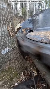 667K views · 1.2K reactions | China_s Blade-Free Tree Cutter_ ⚙️ #viral #reel #fypシ゚ #tips #trendingreel #foryouシ #viralreel #grow #intrestingfacts #short #shortsreels #facts #trendingvideo #trend #reelschallenge | Animal World | Facebook