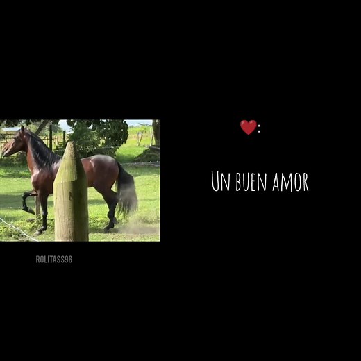 Vale más un buen amor: Canciones de Vicente Fernández