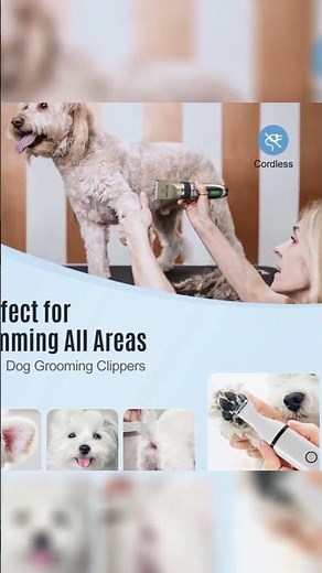 Oneisall Dog Clippers Review: The Best Cordless Pet Grooming Kit!