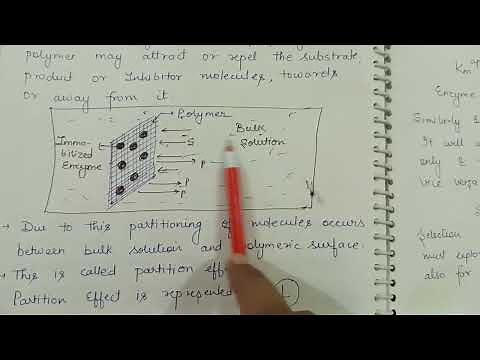 Kinetics of immobilized enzymes: Partition effect and diffusion effect