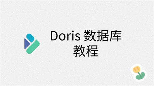 Doris教程