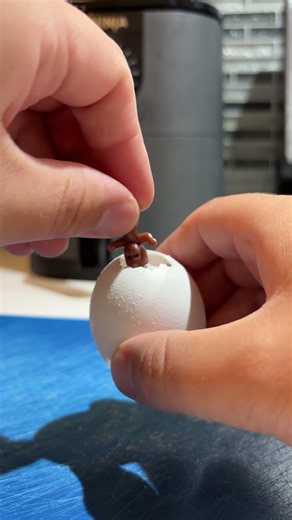 egg fertilization the right way