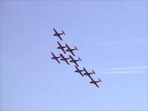Canadian Snowbirds - CIAS 2007 - Toronto Air Show
