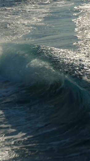 46K views · 3K reactions | Azimut vibes along the enchanting riviera #DareToAmaze #CannesYachtinhFestival | Azimut Yachts | Facebook