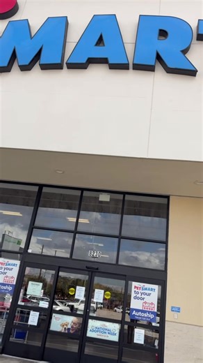 Dog Bathing Routine at Petsmart