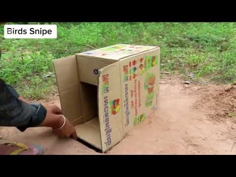 How to make a duck trap. | Easy DIY duck trap tutorial #ducktrap #animaltrap #tranding