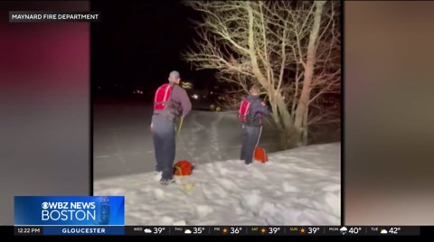 Massachusetts police and firefighters rescue dog from hole in ice