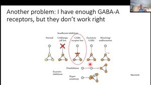 Epilepsy Basics: Excitation, Inhibition and Druggable Targets