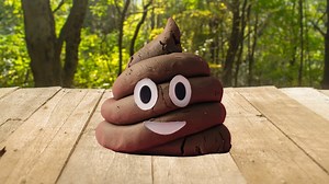 Video Catches Man Pooping On Aurora Child's Picnic Table, Stealing Scooter