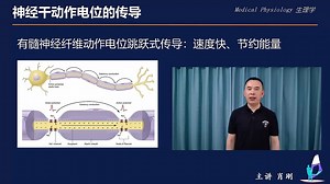8.动作电位的传导及特点