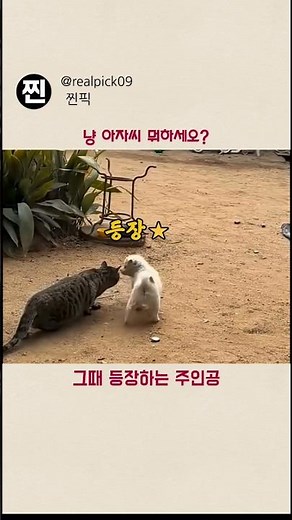 냥 아자씨 뭐하세오?