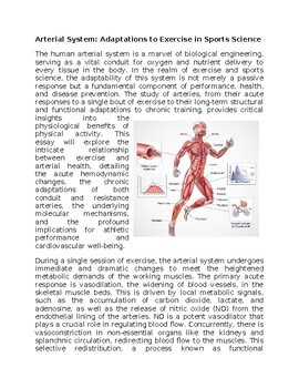 Heart Rate in Exercise & Sports Worksheet Subs or Classwork Homework