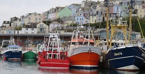 SEAFOOD REPORT SHOWS UK IMPORT AND EXPORT LEVELS ON THE RISE