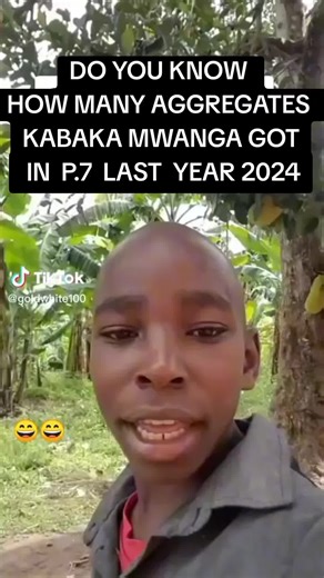 Kabaka Mwanga P.7 Aggregate Results for 2024