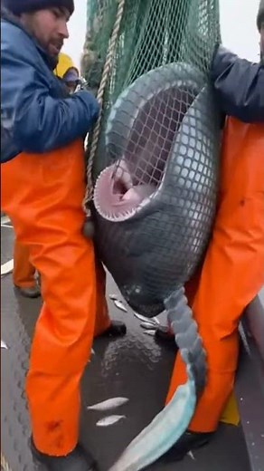 MUTANT Fish Caught on Camera?! 👽⚠️ (Scary Sound)