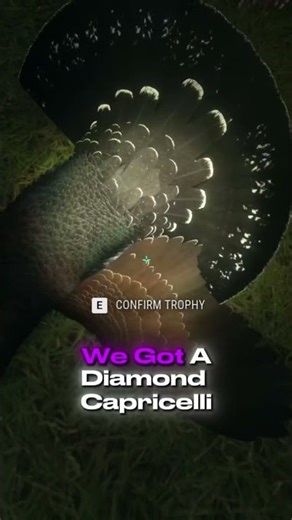 I Was NOT Expecting a Diamond Capercaillie #shorts #cotw