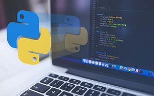 1.基本数据类型