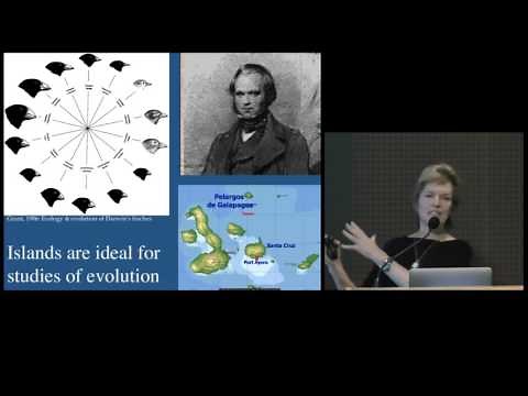 Ecology, Evolution, and Species Diversification in Hawaiian Islands