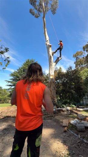 Turns out it’s impossible not to bring game day energy to the job with the Husqvarna tree work x football helmet 🏈 #arborist #nfl #sundayfootball #slowmo #ViralVideo | Hillside Tree Care
