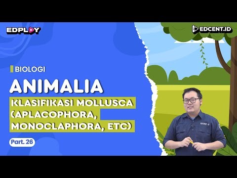 Materi Biologi: Kingdom Animalia | Klasifikasi Mollusca (Aplacophora, Monoclaphora, etc) | Part 26