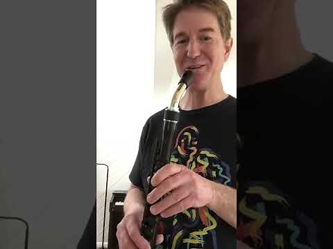 FLIPHEAD fipple/recorder head joint for flute