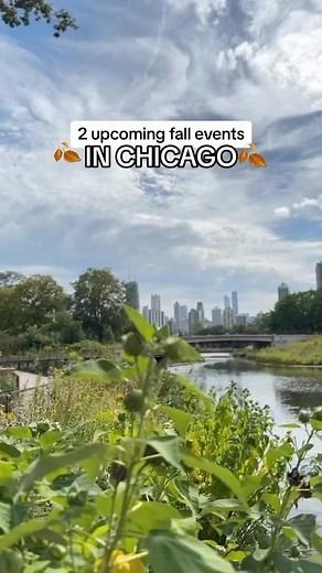 2 Fall activities you need to do in Chicago!🍁🎃#mysecretchicago 📸 TikTok: @keninchicago .⁠ .⁠ #chicago #illinois #midwest #chicagolife #chicagoland #thingstodoinchicago | Secret Chicago