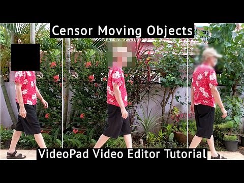 Censor Moving Objects - VideoPad Video Editor Tutorial (English)