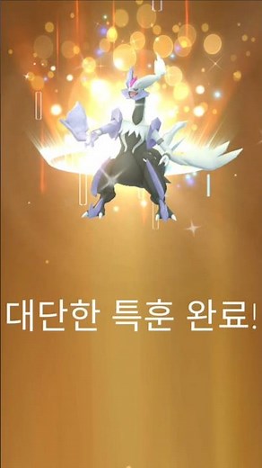 은색병뚜껑 대단한 특훈 완료! 배경 화이트큐레무 이로치가 '100로치'가 되었습니다!! 영롱하다... [#포켓몬고] #Shorts