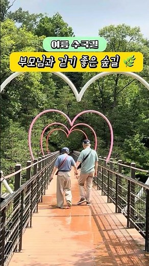 여름 화담숲, 부모님과 걷기좋은 수국 숲길 🌿