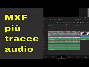 Davinci Resolve: formato MXF più tracce audio