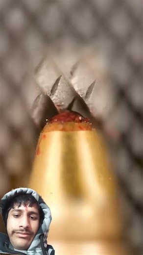 Pen and File Close-Up #wood #facts #experiment #funny #art #snake #woodworked #woodcrafts #craft