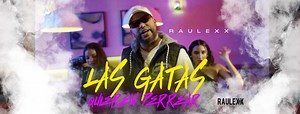 21 reactions | Raulexx acaba de lanzar su nuevo Video Musical de Reggaeton - Las Gatas Quieren Perriar. Encuentralo en tu plataforma digital favorita. #Raulexx #lasgatasquierenperriar #perreo #musicanueva #Spotify #iTunes #Youtube #viralreelsfb | Raulexx | Facebook