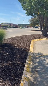 It’s the first Free $50 Friday of the day! The first person that finds it keeps it! ￼#FreeFiftyFriday #uslogo #WichitaFamous #wichitakansas | US Logo, Inc.