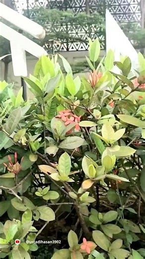 🏡 Rumah READY🔐 One Gate System🚉 15 menit ke Stasiun💰 Angsrn mulai 2 jutaan, fasilitas lengkap