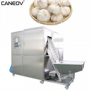 [Hot Item] Commercial Garlic Processing Equipment Wholesale