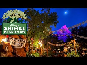 Disney's Animal Kingdom Vlog - Walt Disney World November 2021