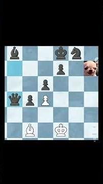 chess puzzle chess game