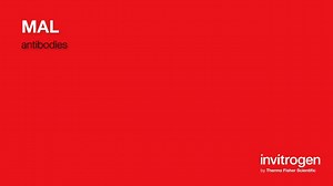 MAL antibodies from Thermo Fisher Scientific