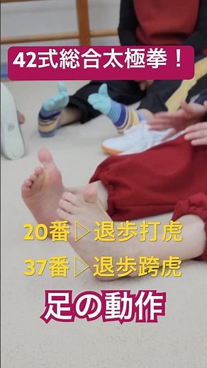 [42-Form Comprehensive Tai Chi Chuan] ◎20▷Stepping Back and Striking the Tiger ◎37▷Stepping Back ...