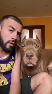 UN CHE? 🤣 | Lucaugoliniii