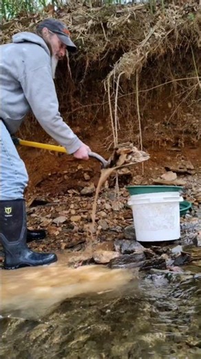 Cracking bedrock and classifying in a five gallon bucket #gold #goldprospecting #goldmining