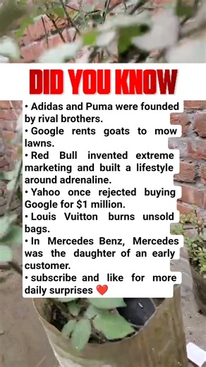 Save this for later.