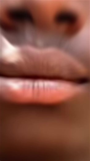 #CapCut #😇self post nkoaa @💐 Sarah ☘️🤎 @CURRENCY BACKUP ACCOUNT @🥹💔🧸••Nana _!!🦋Yaa🌸 @||NY|| 🧶MøTIØÑ🍃 @Attitude girl @_RICH💰YAW💎PORTEY💦 @🎀Beauty💞Queen🦋🌸 @🤑Itz Mother📿 Hood🧃 @🔗Kotech Hype teens🇬🇭