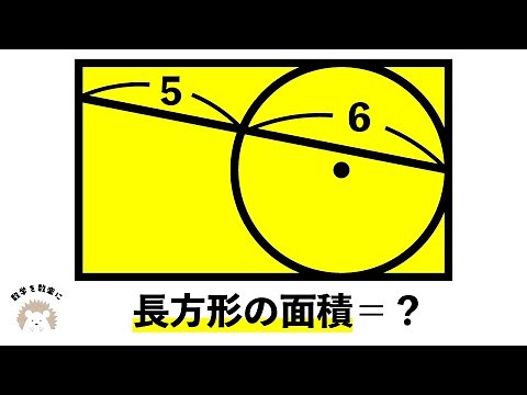 長方形の面積🟰❓