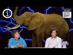 QI | Edison's Elephant Movie