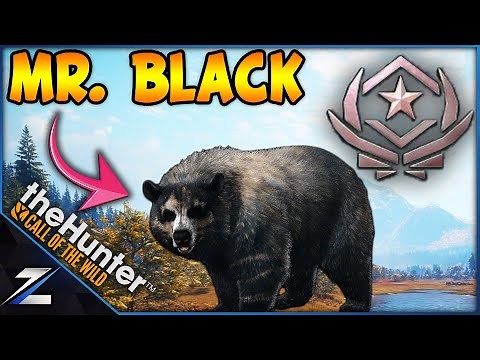Breaking Down How To Get Mr. Black as a Great One (with missions)