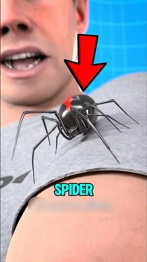 Spider Bite? Don't Expect Superpowers Do This to Save Your Life!