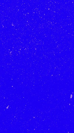 1.1K views | GLOBAL ARCHERY - TRICK SHOT #5 #extremesports #extremearchery #archerytag #globalarchery #archery #bowandarrow #safearchery #dodgeball #paintball #pickleball #ultimatefrisbee #lasertag #combatsports #bowdodge #larp #larping #archeryattack #dodgebow #arrowtag #targetpractice #archeryarena #howtoshootanarrow #birthdayparties #teambuilding #corporateevents #excitingnewsports #youthsports #youtharchery #socialactivities | Archery Tag | Facebook